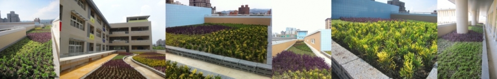 2014/9/5【全新完工】 屋頂綠化 | 薄層綠化